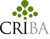Criba Research LATAM & España